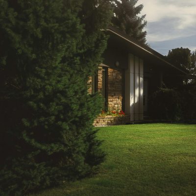 devon-mackay-soycsxAAwv8-unsplash