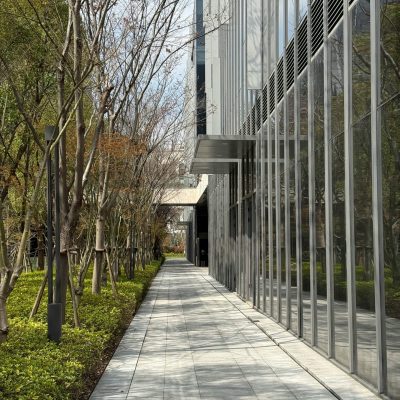 pexels-anderson-wei-2151965849-36675821